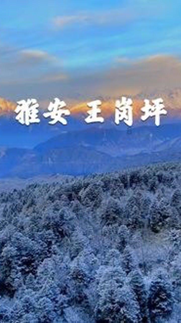 交通违法曝光台，看看有你认识的吗？