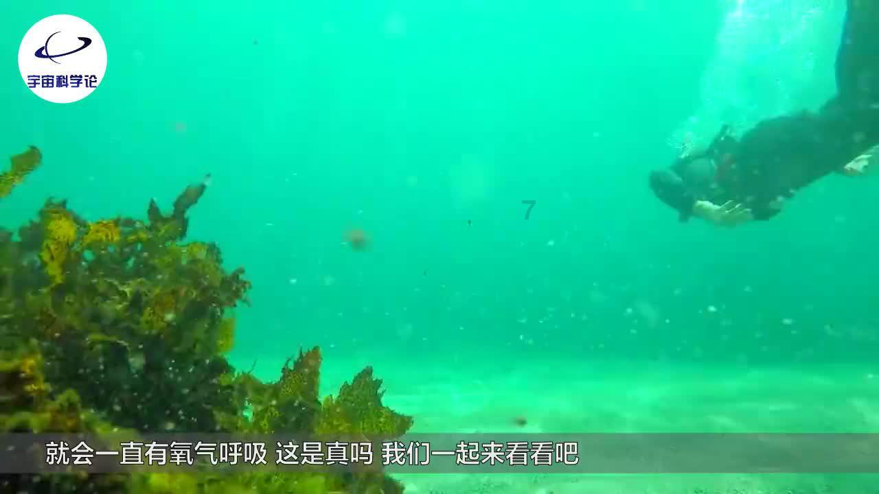 异地恋的成功率高不高？游戏画面